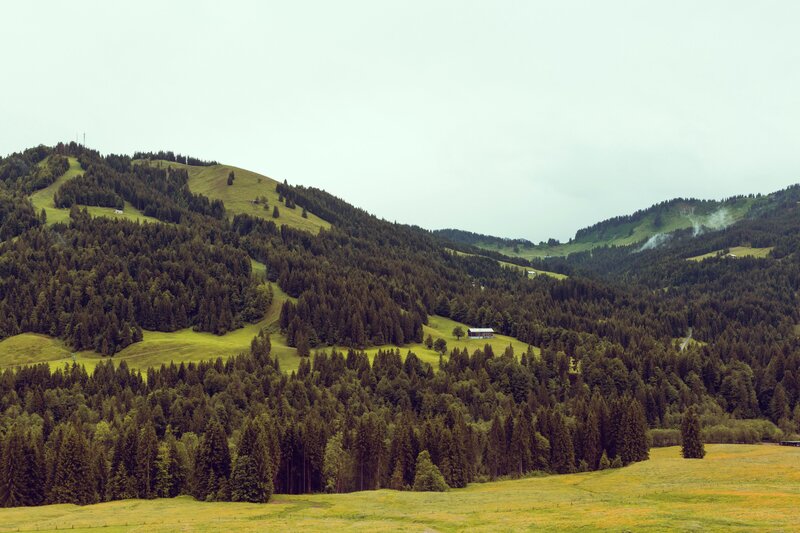 Green Hills with Forest — Serene