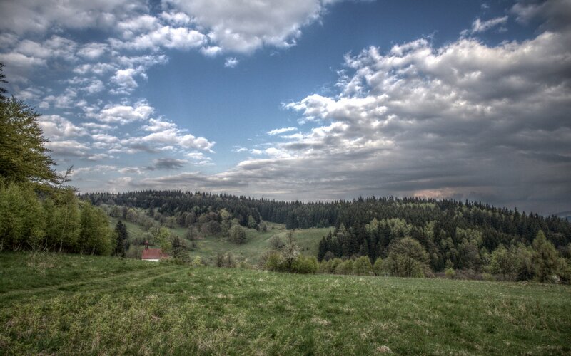 Green Hills with Forest