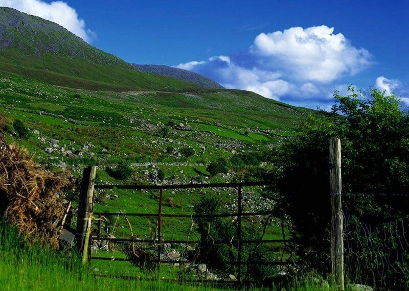 Green Hills with Gate
