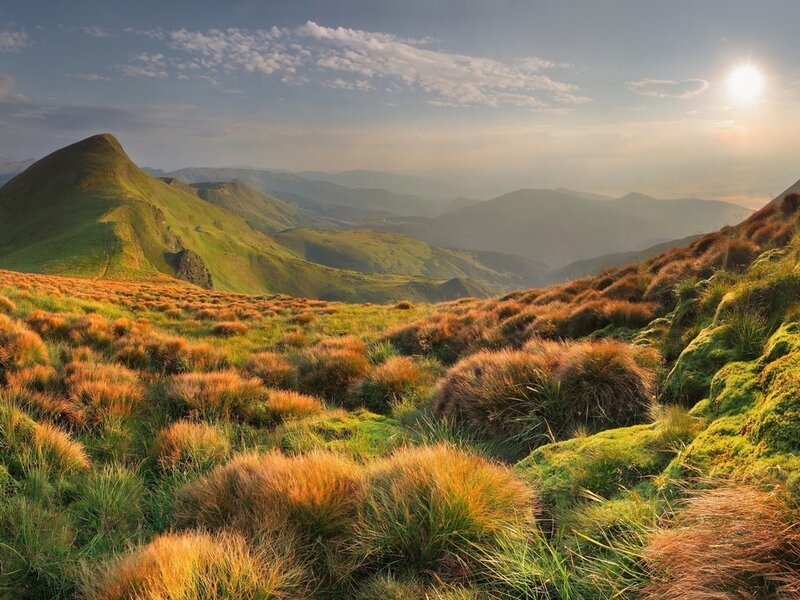 Green Hills with Grass