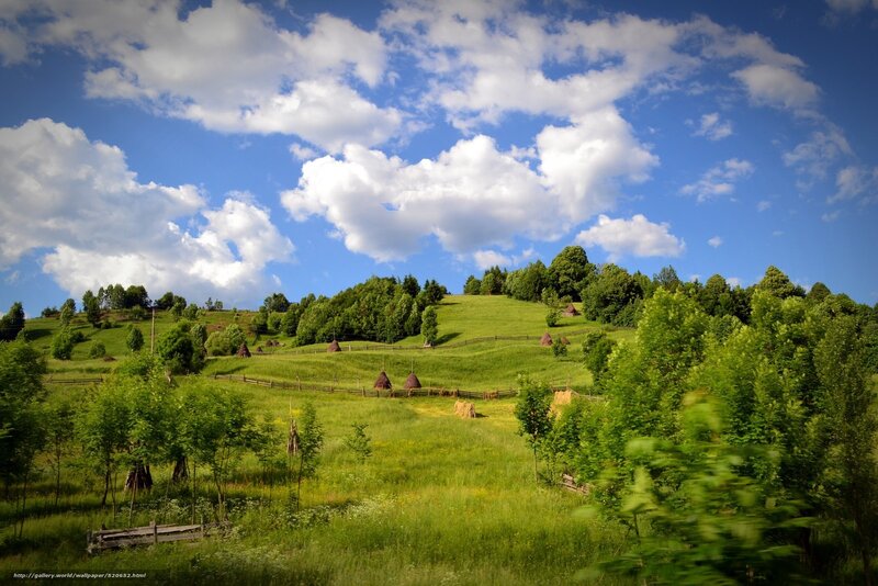 Green Hills with Hay Bales — Serene
