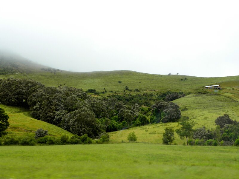 Green Hills with House