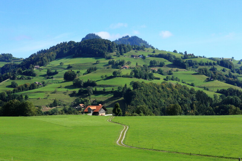 Green Hills with Houses — Serene
