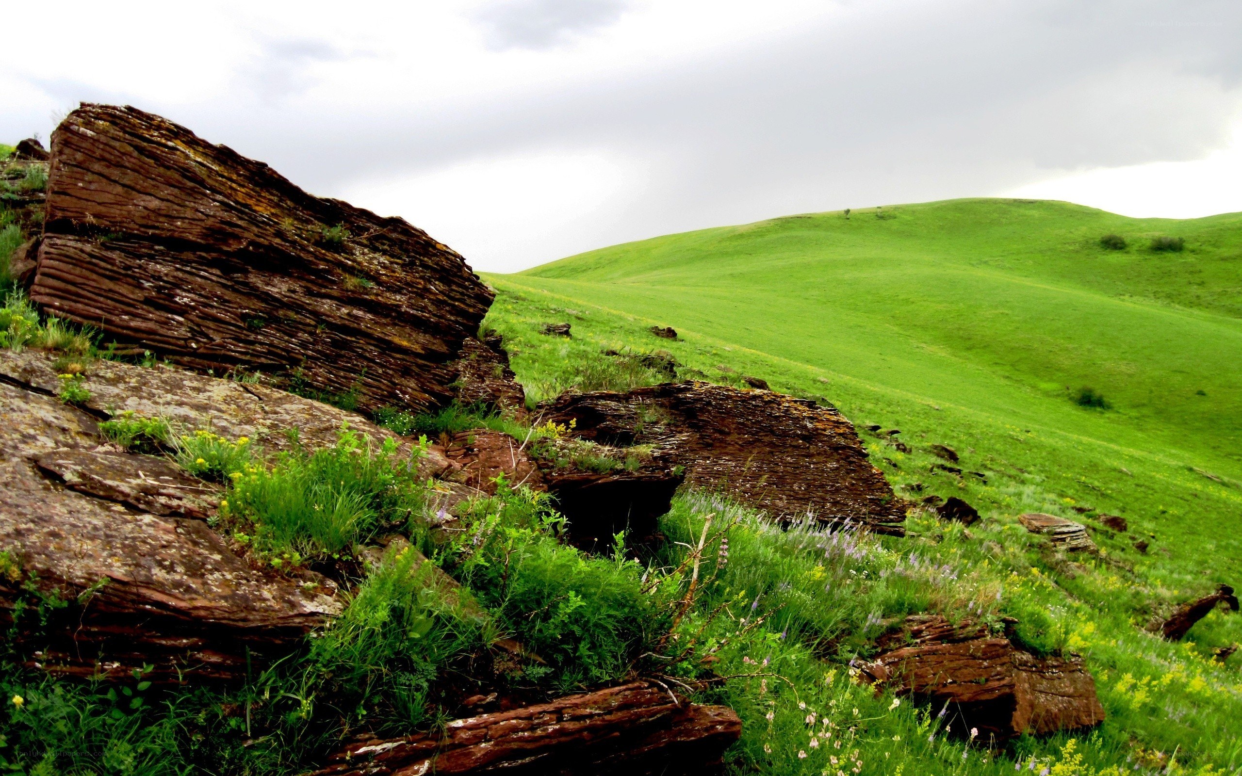 Green hills with layered rocks