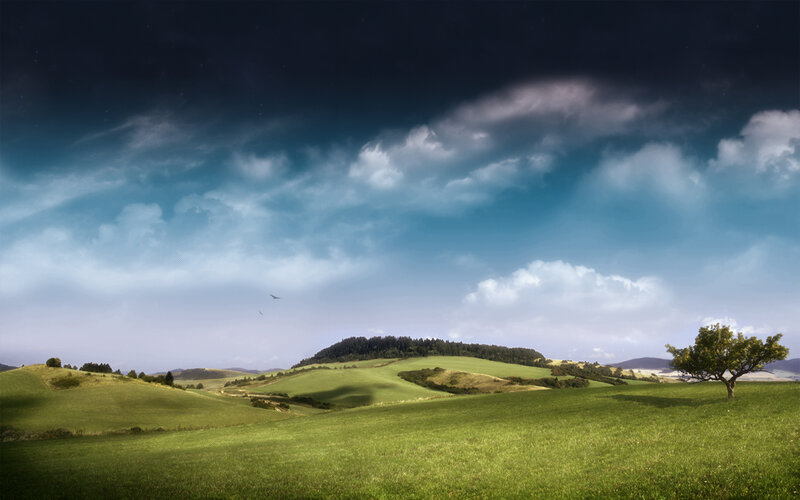 Green Hills with Lone Tree — Dramatic