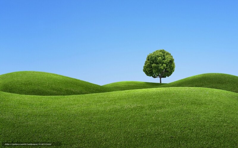 green hills with lone tree
