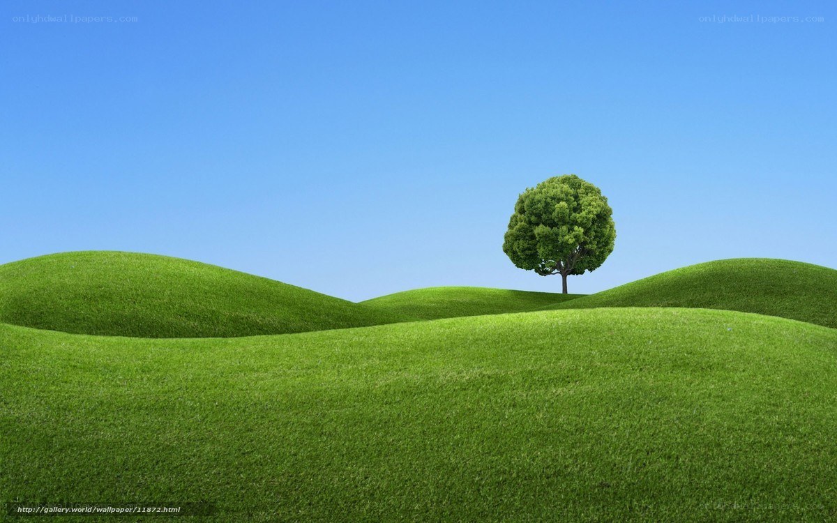green hills with lone tree
