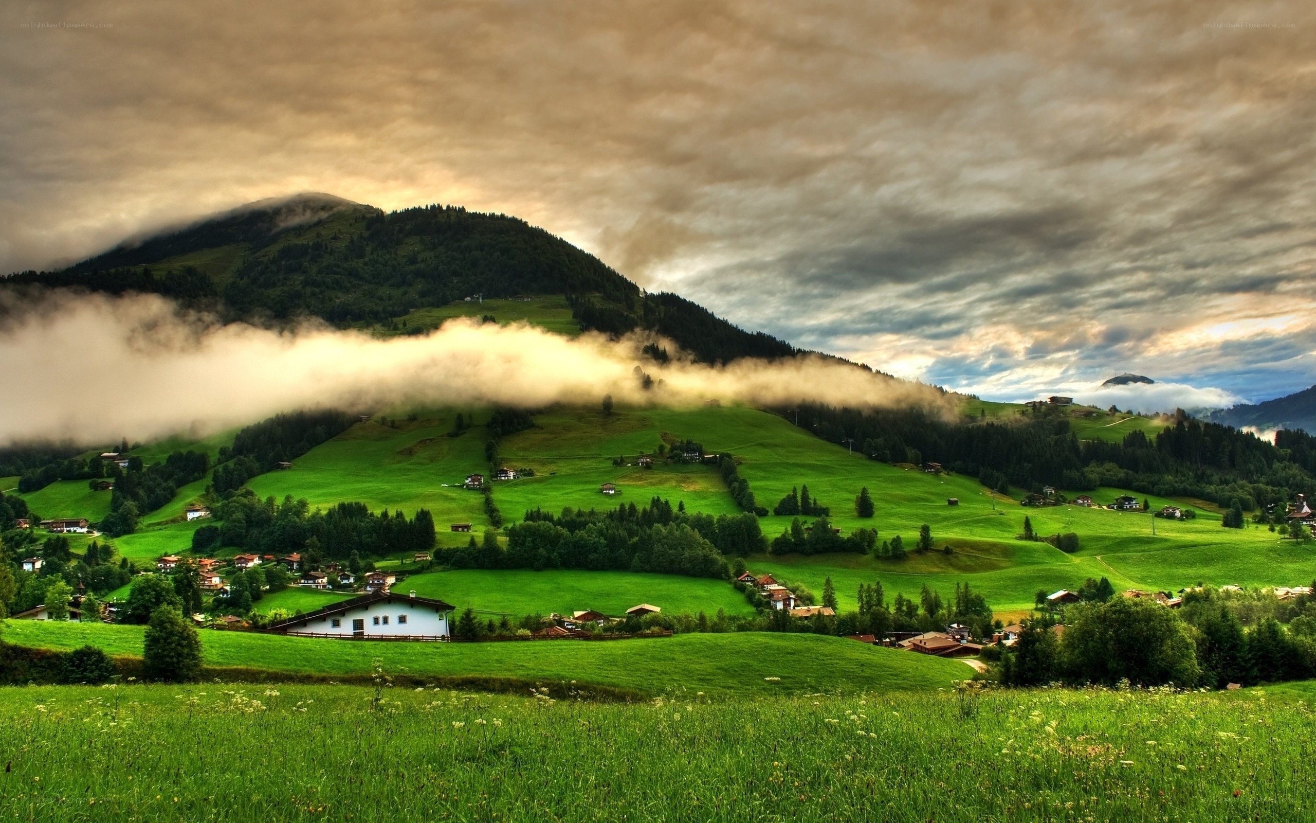 Green hills with misty clouds
