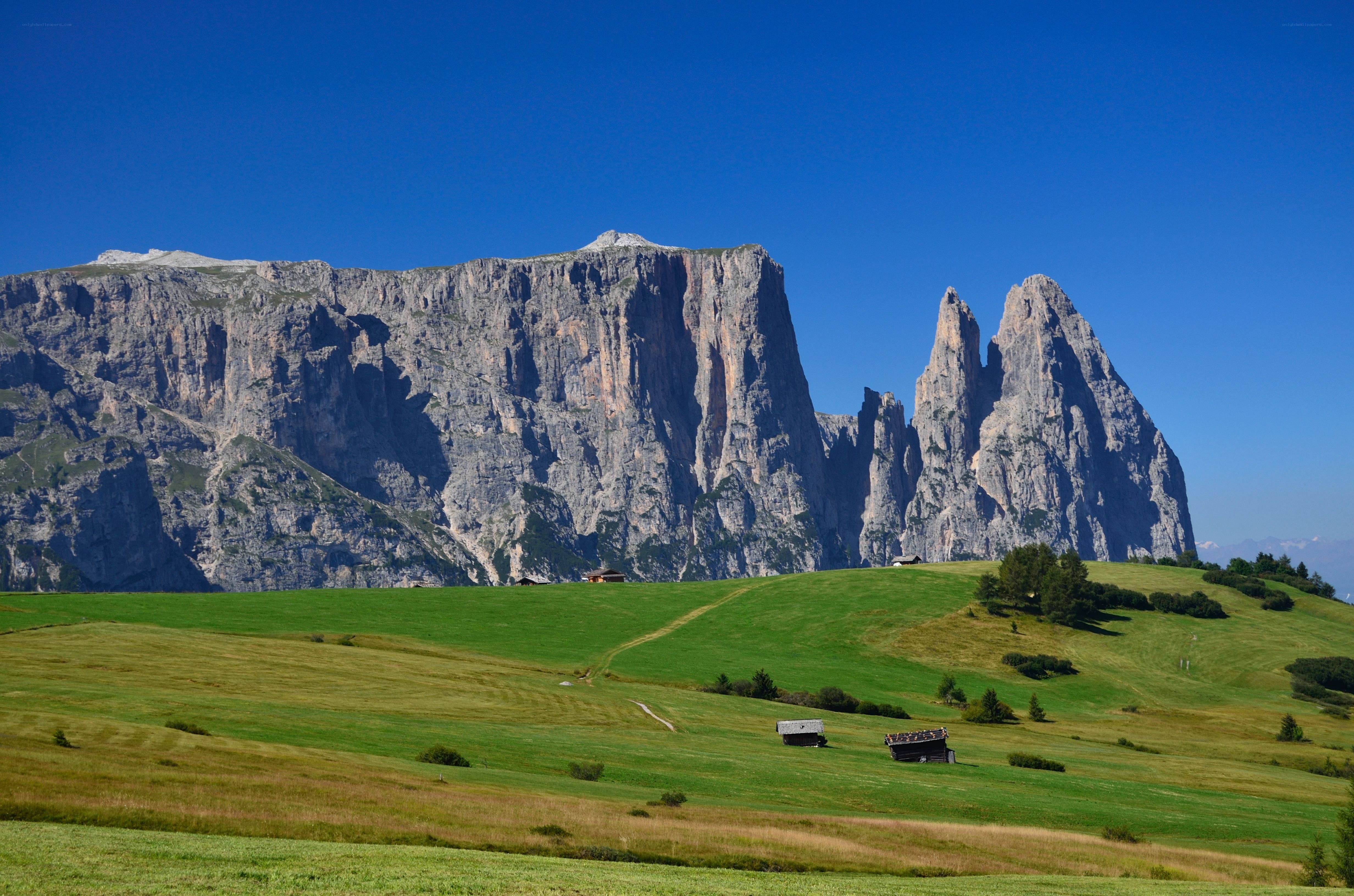 Green hills with mountain backdrop
