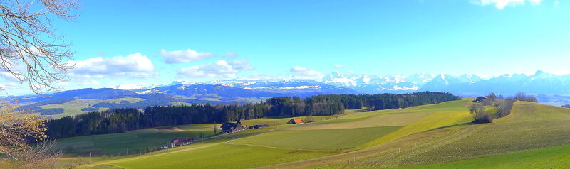 Green Hills with Mountains — Serene