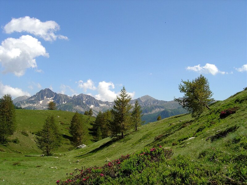 Green Hills with Mountains