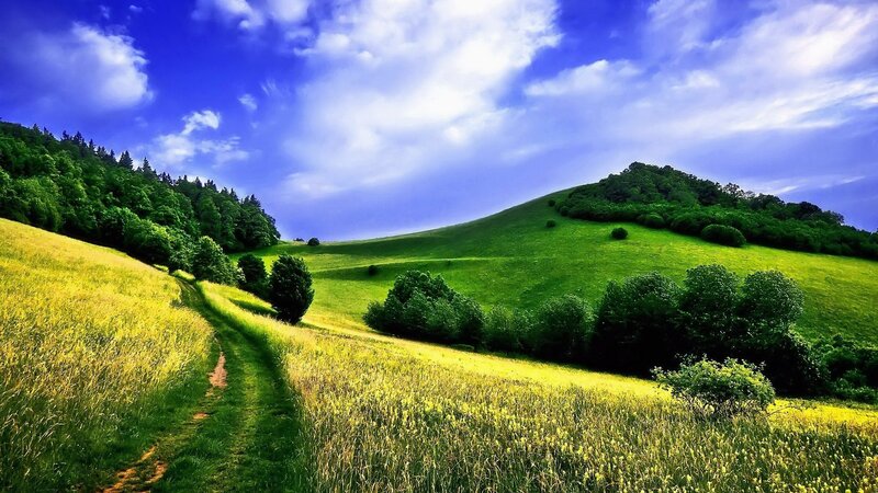 Green Hills with Path — Blue, Serene, Afternoon