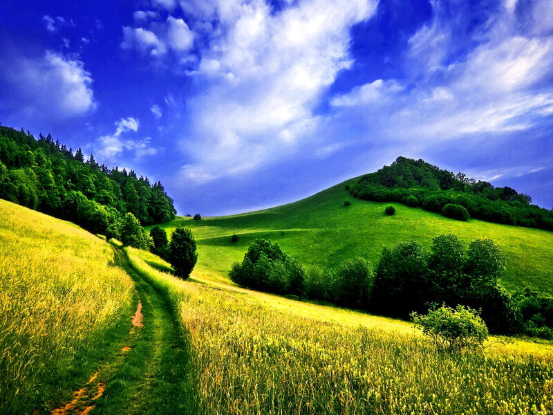 Green Hills with Path — Blue
