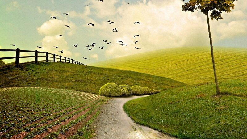 Green Hills with Path — Serene