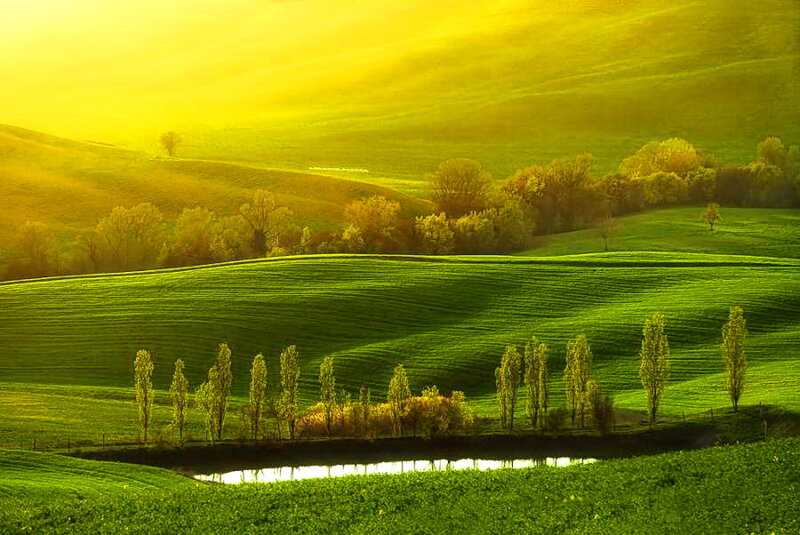 Green Hills with Pond — Serene, Morning
