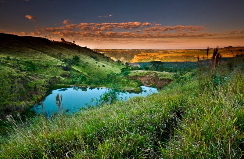 Green Hills with Pond