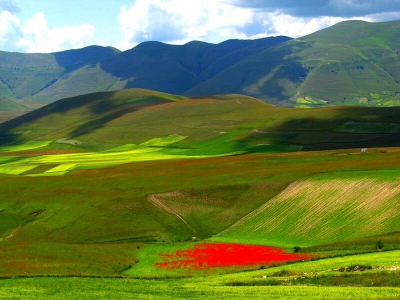 Green hills with red flowers