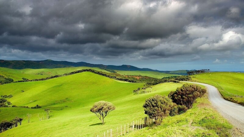 Green Hills with Road