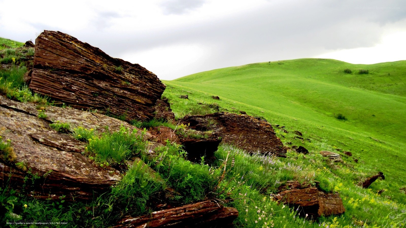 Green Hills with Rock Formations