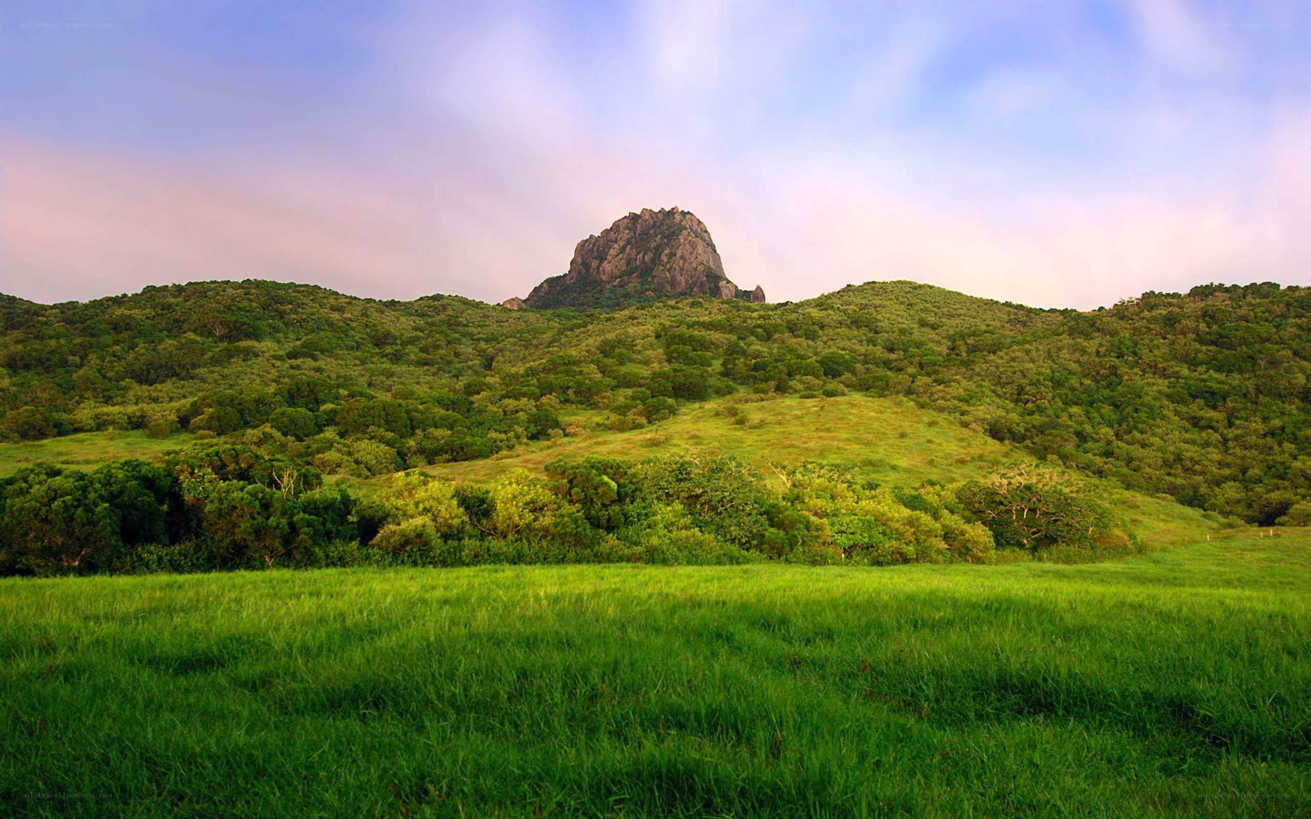 Green hills with rocky peak