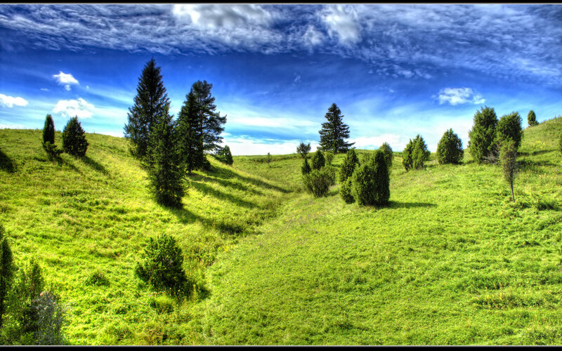 Green Hills with Scattered Trees — Serene