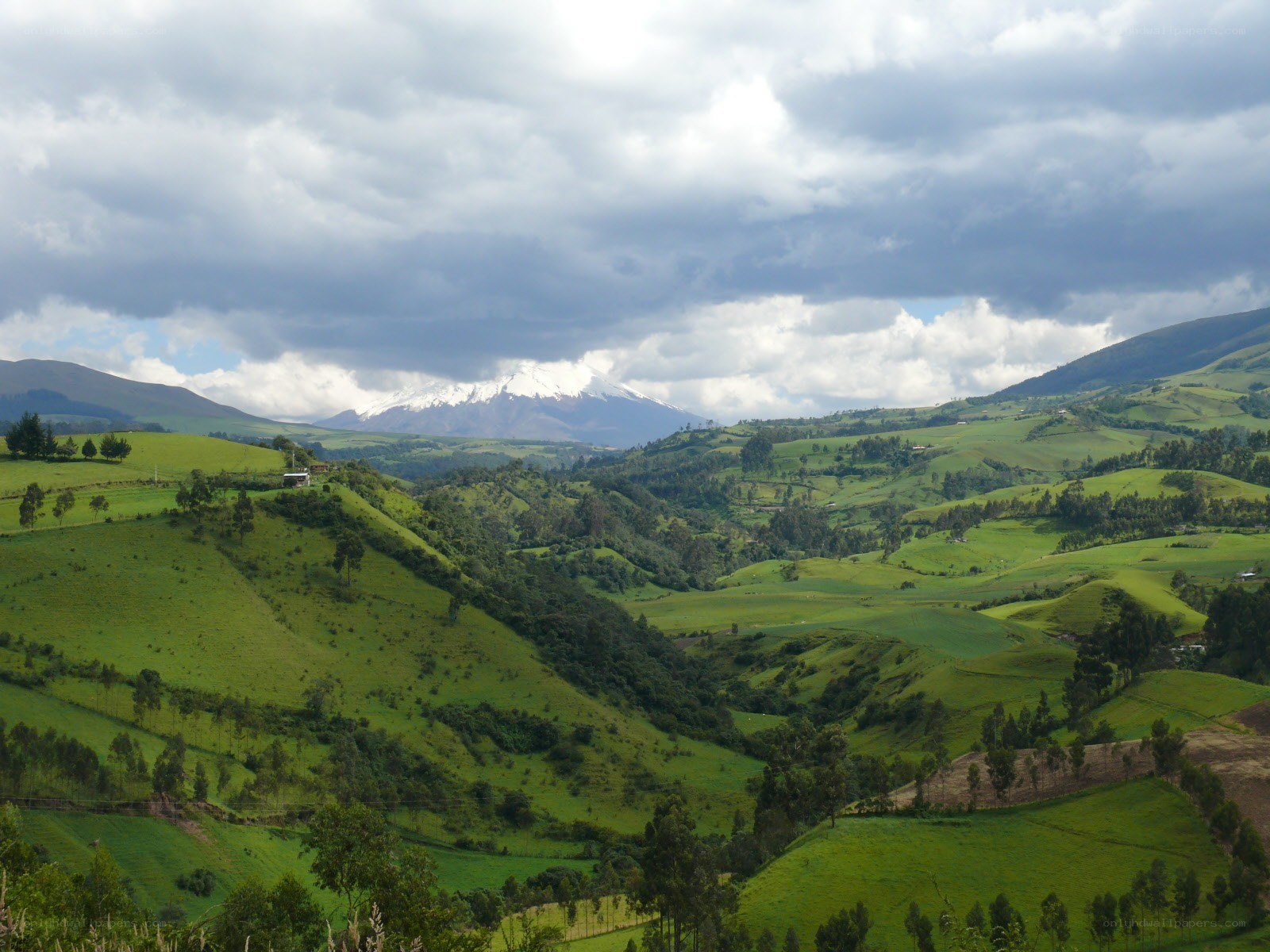 Green hills with snow-capped mountain