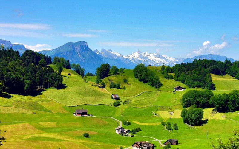 Green hills with snow-capped mountains