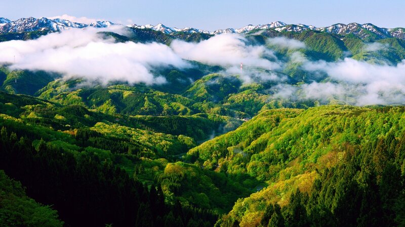 Green Hills with Snow-capped Mountains — Serene
