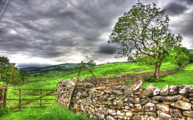 Green Hills with Stone Wall