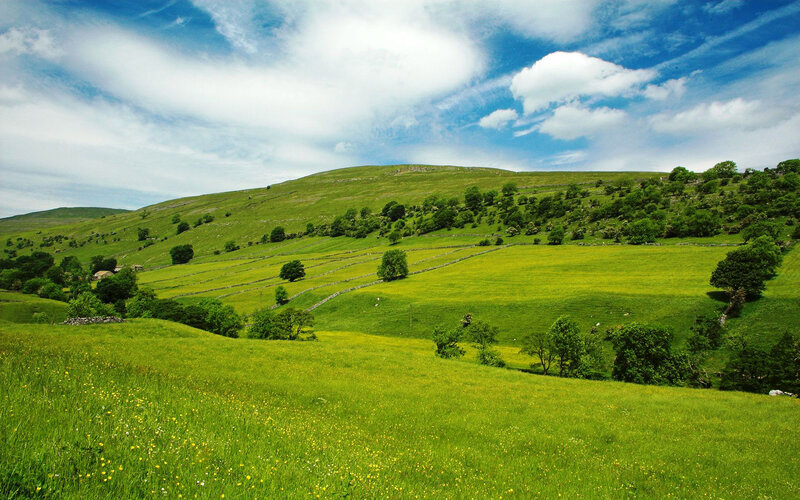 Green Hills with Stone Walls — Serene, Afternoon