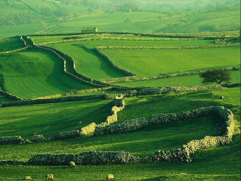Green Hills with Stone Walls