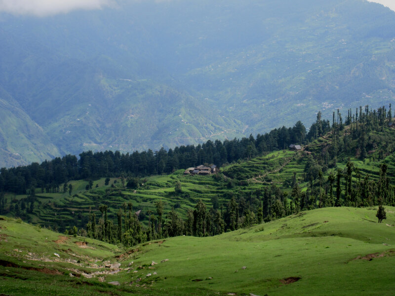 Green hills with terraced fields