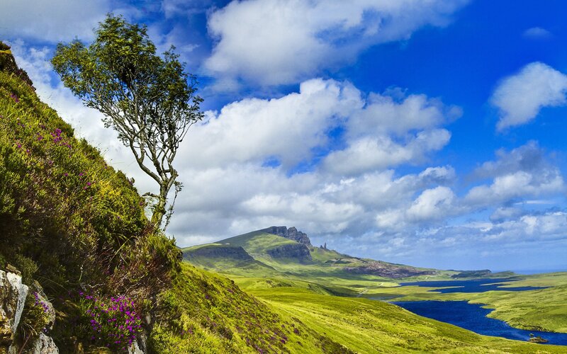 Green Hills with Tree — Blue