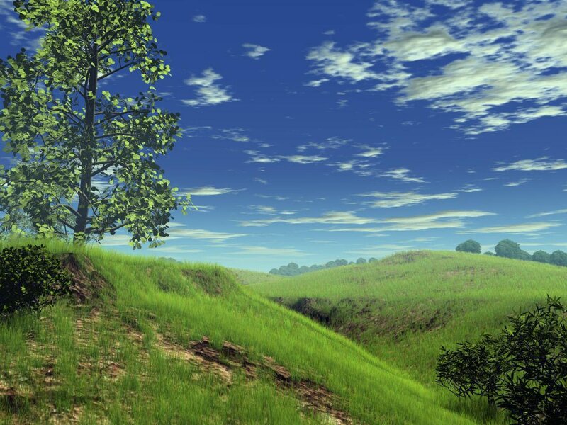 Green Hills with Tree — Serene, Afternoon