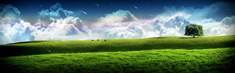 Green Hills with Tree — Serene, Night