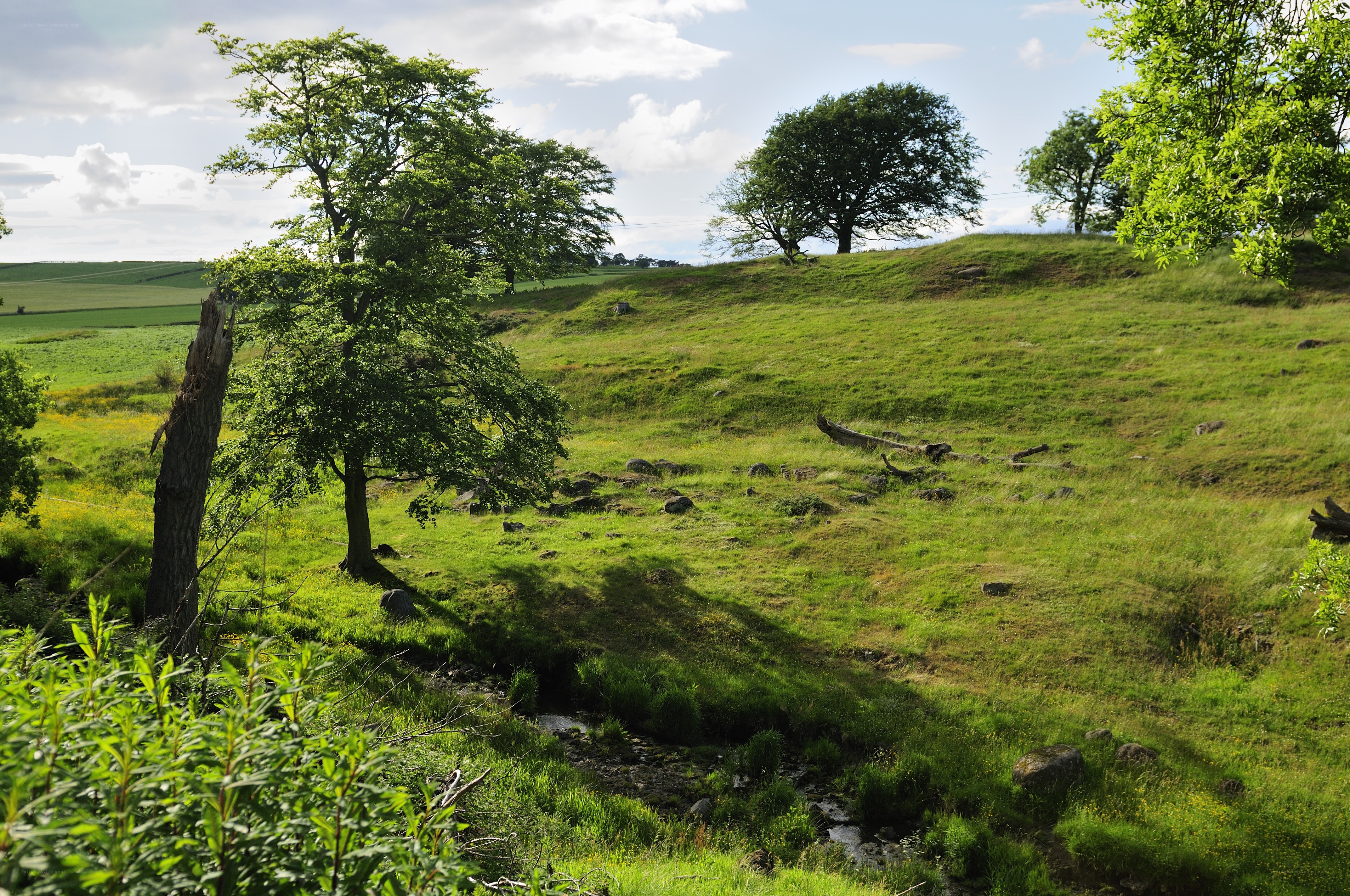 Green hills with trees and stream