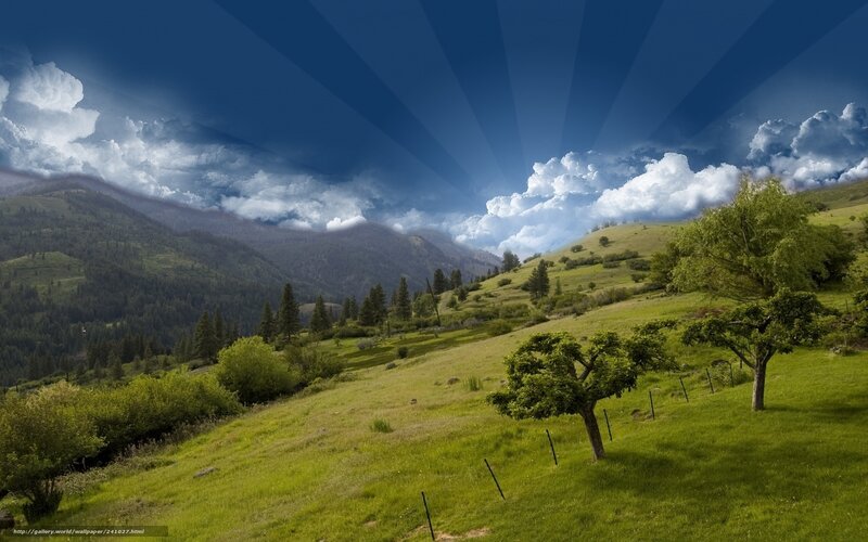 Green Hills with Trees — Dramatic, Afternoon