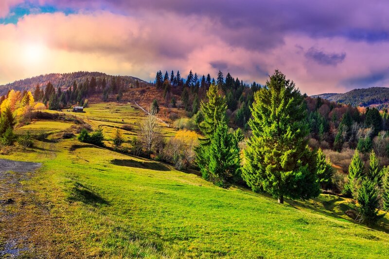 Green Hills with Trees — Dramatic, Sunset, Photograph