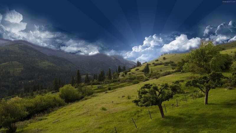 Green Hills with Trees — Dramatic