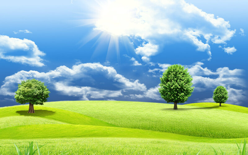 Green Hills with Trees — Serene, Afternoon, Digital Art