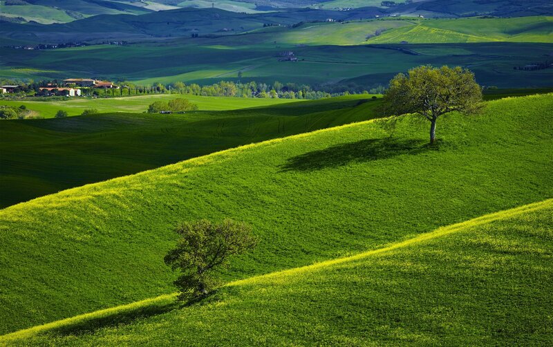Green Hills with Trees — Serene, Afternoon, Photograph, Farmhouse