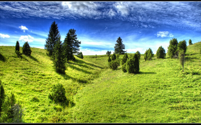 Green Hills with Trees — Serene, Afternoon, Photograph, Sky, Blue