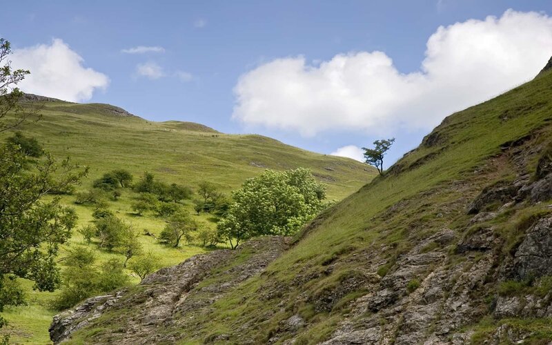 Green Hills with Trees — Serene, Afternoon, Photograph, Sky, Clouds, Blue, White