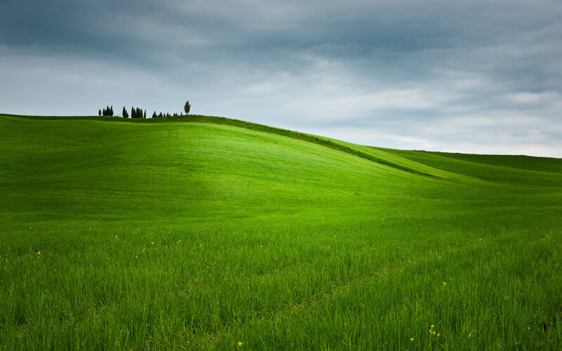 Green Hills with Trees — Serene, Afternoon, Photograph