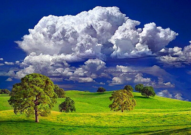 Green Hills with Trees — Serene, Afternoon