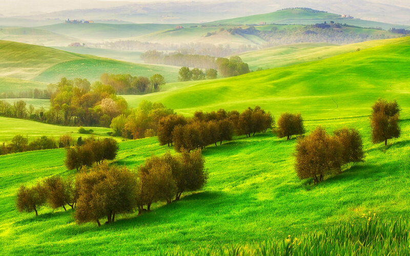 Green Hills with Trees — Serene, Morning, Photograph, Fog