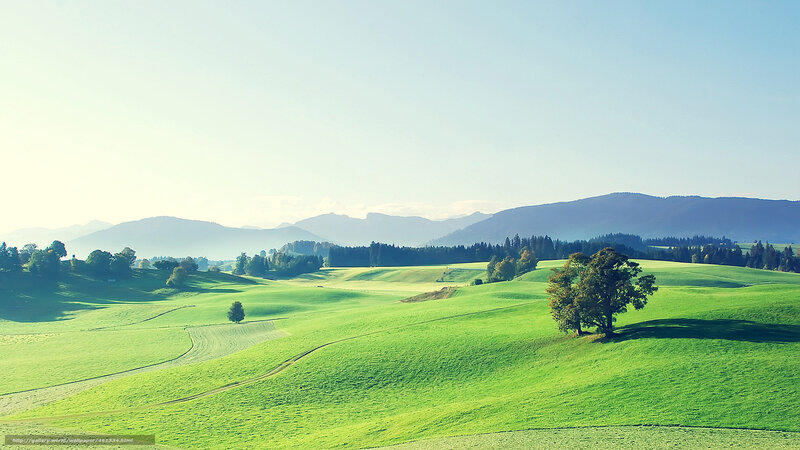 Green Hills with Trees — Serene, Morning, Photograph, Mountains