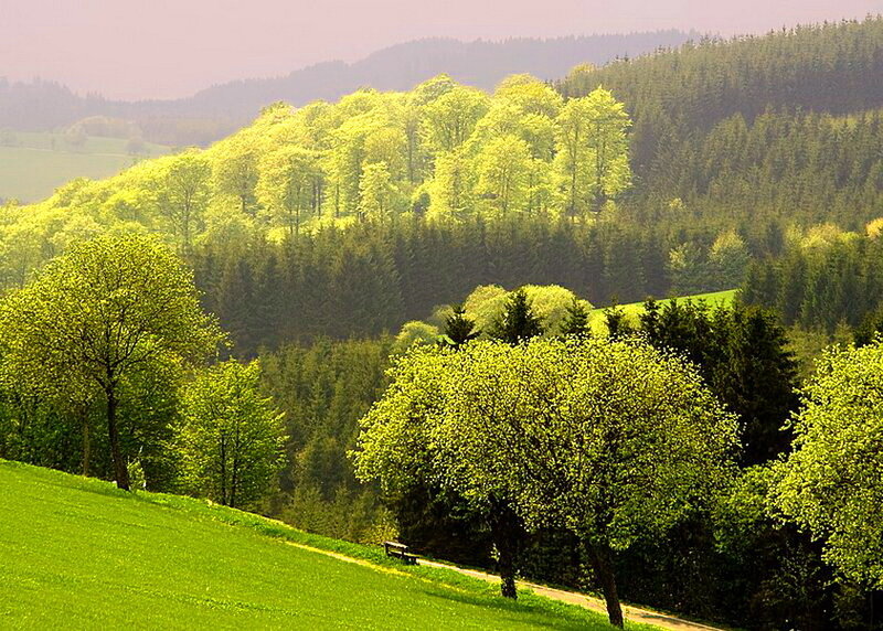Green Hills with Trees — Serene, Spring