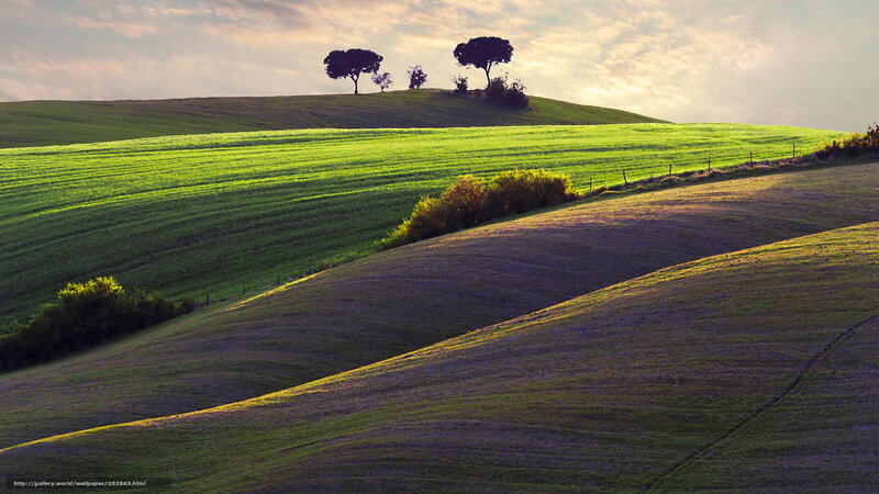 Green Hills with Trees — Serene, Sunset, Photograph, Sky