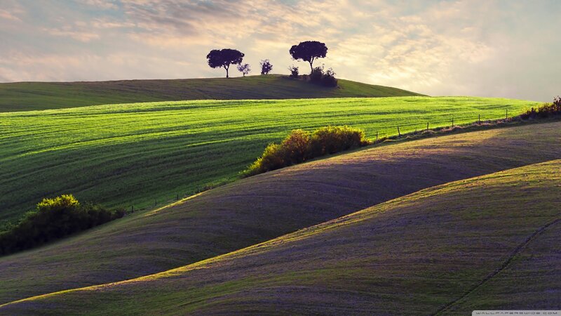 Green Hills with Trees — Serene, Sunset, Photograph